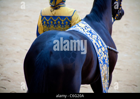 Palio di Siena 2011, Juli 2. Pferderennen: Pferde Rennen und historische Parade. Piazza del Campo, Palio Siena. Nur zur redaktionellen Verwendung. Stockfoto