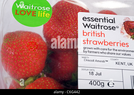 Wesentlichen Waitrose britischen Erdbeeren Stockfoto