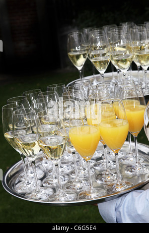 Champagner wird von den Kellnern - viele Gläser Champagner und Orangensaft auf dem Tablett serviert. Stockfoto