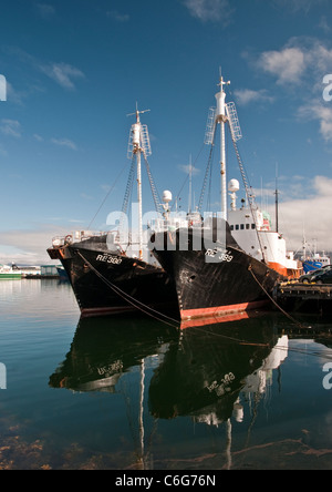 Isländische Walfänger im Hafen von Reykjavik, Island Stockfoto