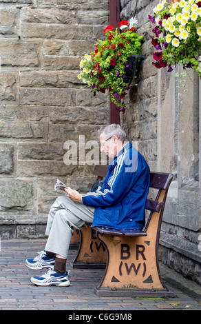 Älterer Mann sitzt auf einer Bank-Lesung Stockfoto