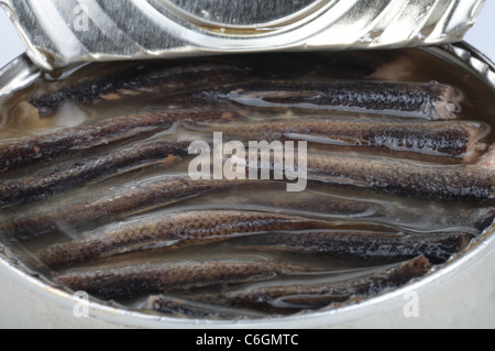 Fischkonserven in offenen Dose Stockfoto