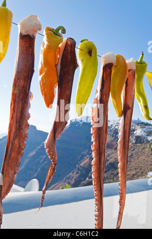 Krake (Ohtapodi) trocknen vor einem Restaurant in Fira, Santorini (Thira), Kykladen, Ägäis, Griechenland, Europa Stockfoto