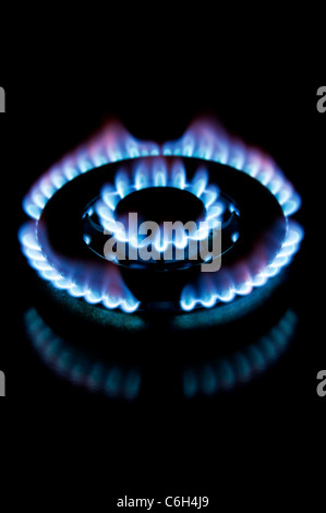 Gasflamme von einem Kochfeld auf schwarzem Hintergrund. Konzept Hoch / Steigende Gaspreise / Kosten / Rechnungen Stockfoto