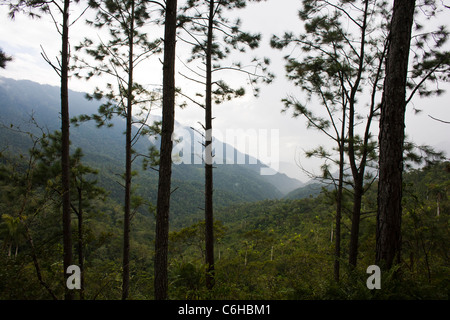 Gehen Sie in "Sierra Maestra", Stockfoto