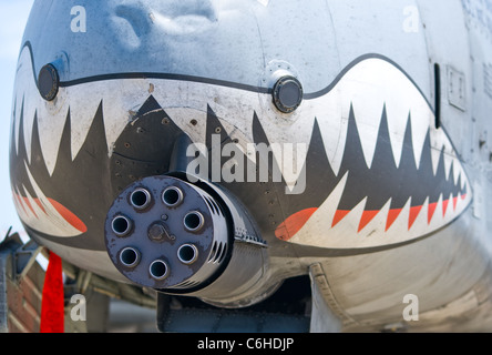 Schweres Maschinengewehr auf Militärflugzeuge US Air Force a-10 Thunderbolt II Stockfoto