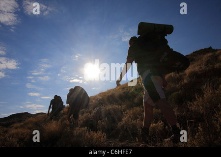 Niedrige Engel Blick auf Silhouette Wanderer in Wüstenlandschaft Stockfoto