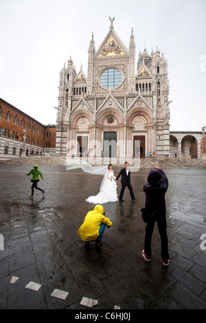 Trauung und Fotograf: Braut und Bräutigam nach der Hochzeit vor der Kathedrale, Siena, Toskana, Italien Stockfoto