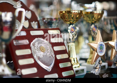 Trophäe Stockfoto