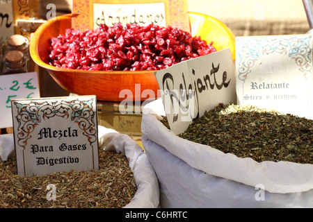 Verschiedene Arten von Tee Stockfoto