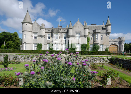 Balmoral Castle Royal Deeside - Queen es Residenz Blick auf die Burg von formalen Gärten mit schottischen Distel im Vordergrund Stockfoto