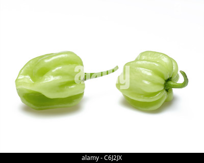 Scotch Bonnet Stockfoto