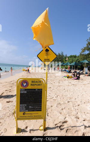 Strand-Bericht, Marine Stingers Schild und gelbe Flagge am Strand, Green Island, Great Barrier Reef, Queensland, Australien Stockfoto