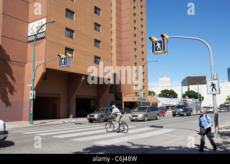 Mann auf einem Fahrrad Kreuzung Fußgängerüberweg Zebrastreifen über die Straße in der Innenstadt von Winnipeg Manitoba Kanada Stockfoto