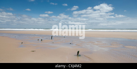 Sand, Meer und Himmel am Strand von St Cyrus Nature Reserve Kincardineshire Stockfoto