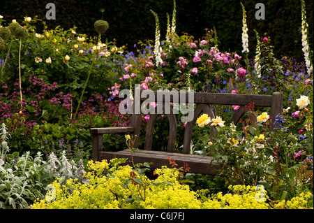 Der Strauch Rosengarten am RHS Rosemoor im Juni, Devon, England, Vereinigtes Königreich Stockfoto