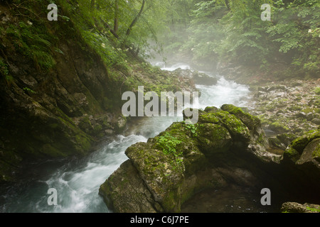 Radovna-Fluss, in der Schlucht Vintgar, Nationalpark Triglav, Sloweniens. Stockfoto