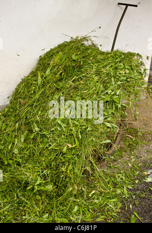 Wagen Sie mit neu geerntet blumenreiche Heu in das alte Dorf Brod, Slowenien. Stockfoto