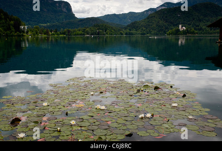 Lake Bled, mit weißen Seerosen im Vordergrund, Julischen Alpen, Slowenien. Stockfoto