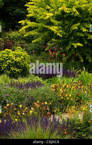 Die heißen Garten im Juni, RHS Rosemoor, Devon, England, Vereinigtes Königreich Stockfoto