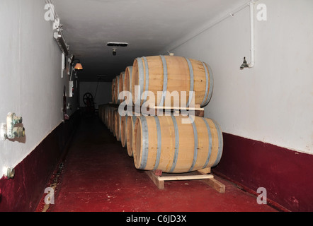 17 Eiche Fässer gestapelt in einen langen, schmalen weißen Rotweinkeller, Carmine Granata Weingut, Mendoza, Argentinien Stockfoto