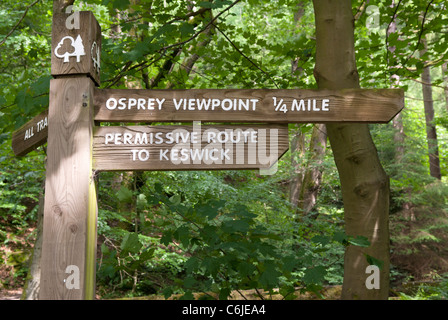 Footpah, Osprey Blick richten auf Dodd Wood, Nationalpark Lake District, Cumbria, England. Stockfoto