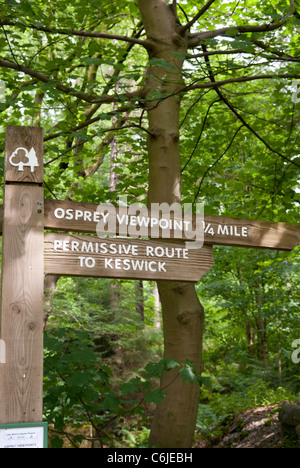 Fußweg zum Osprey Blick richten auf Dodd Wood, Nationalpark Lake District, Cumbria, England. Stockfoto