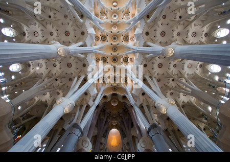 Innenraum der Kathedrale Sagrada Familia, Barcelona, Katalonien, Spanien Stockfoto