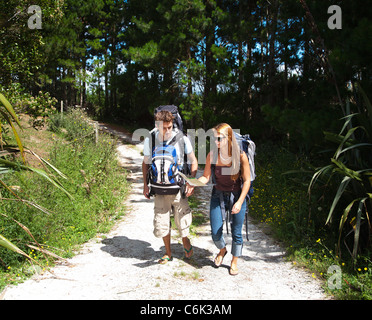 Ein junges Paar Backpacker backpacking. Lesen einer Karte und einer Spur. North Island, Neuseeland Stockfoto