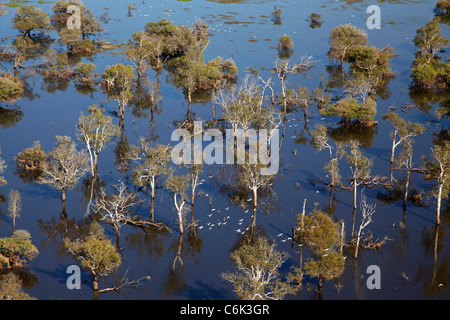 Feuchtgebiete von Zinn Camp Creek und East Alligator River, am Rand des Kakadu National Park, Arnhemland, Northern Territory, Australien Stockfoto