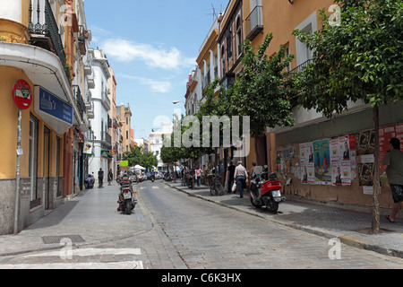 Sevilla Spanien Gasse im alten historischen Teil der Stadt. Motorräder parken auf Gehweg als Autos fahren auf Kopfsteinpflaster Stein Straße. Stockfoto