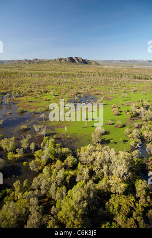 Feuchtgebiete von Zinn Camp Creek und East Alligator River, am Rand des Kakadu National Park, Arnhemland, Northern Territory, Australien Stockfoto