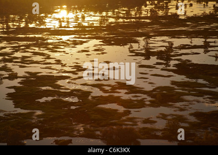 Magela Feuchtgebiete, Kakadu-Nationalpark, Northern Territory, Australien - Antenne Stockfoto