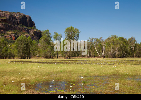 Anbangbang Billabong und Burrunggui (oft fälschlicherweise als Nourlangie Rock), Kakadu-Nationalpark, Northern Territory, Australien Stockfoto