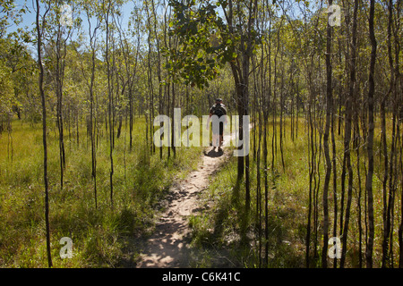 Touristen auf dem Weg durch Busch, Nawurlandja Lookout, Kakadu-Nationalpark, Northern Territory, Australien Stockfoto