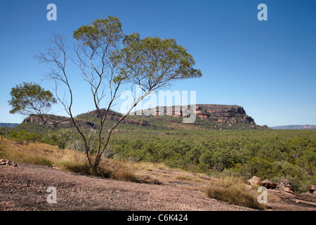 Burrunggui (oft fälschlicherweise als Nourlangie Rock), aus Nawurlandja Lookout, Kakadu-Nationalpark, Northern Territory, Australien Stockfoto