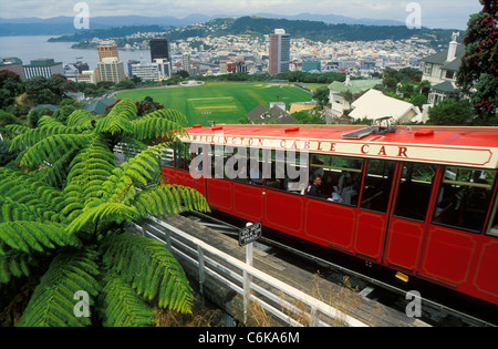 Neuseeland WELLINGTON NEUSEELAND Wellington Cable Car skyline Wellington Wellington Neuseeland North Island. Stockfoto