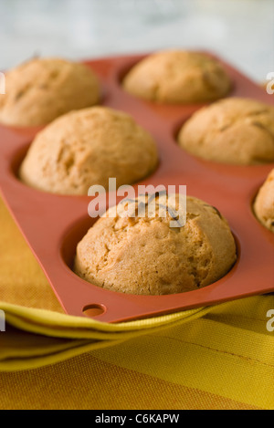 Frisch gebackene Muffins Zitrone in Silizium Muffinblech Stockfoto