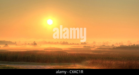 Felder im Nebel nach Sonnenaufgang Stockfoto