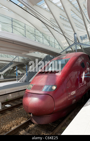 Hochgeschwindigkeitszug Thalys am modernen Bahnhof Liège-Guillemins entworfen vom Architekten Santiago Calatrava in Lüttich Belgien Stockfoto