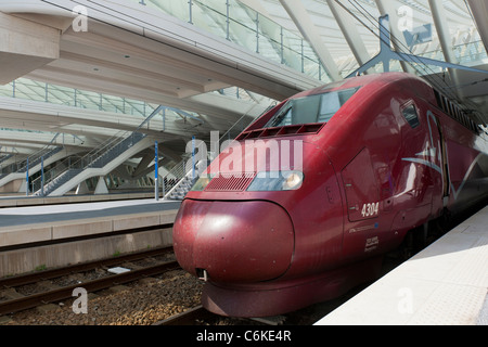 Hochgeschwindigkeitszug Thalys am modernen Bahnhof Liège-Guillemins entworfen vom Architekten Santiago Calatrava in Lüttich Belgien Stockfoto