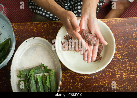 Rindfleisch Shiso Rollen Stockfoto