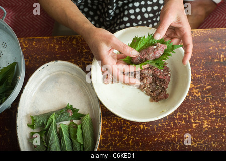 Rindfleisch Shiso Rollen Stockfoto