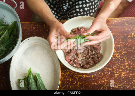 Rindfleisch Shiso Rollen Stockfoto