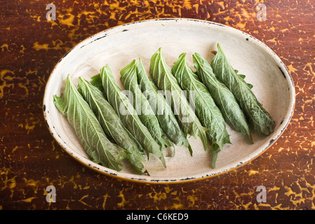 Rindfleisch Shiso Rollen Stockfoto