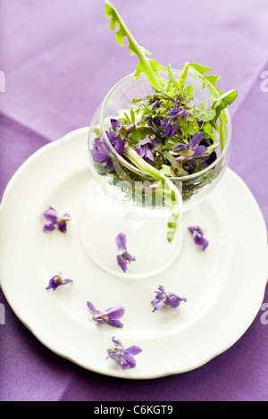 Löwenzahn und violetten Salat Stockfoto