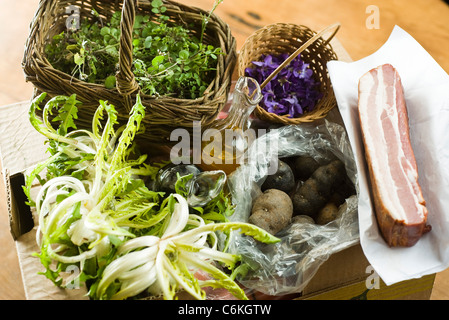 Löwenzahn und violetten Salat Stockfoto