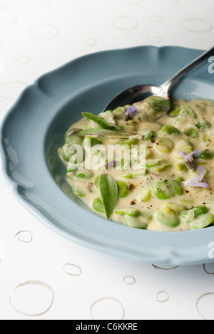 Dicke Bohnen mit Milch und Salbei Stockfoto