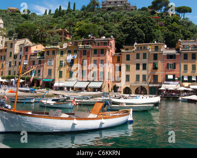 Fischerboote am malerischen Hafen von Fischerdorf Portofino, Ligurien di Levante, Italien, Ligurisches Meer, Mittelmeer, Europa Stockfoto