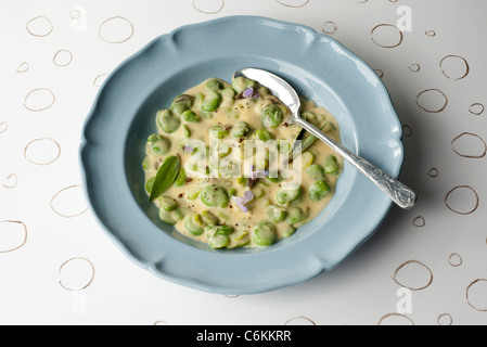 Dicke Bohnen mit Milch und Salbei Stockfoto